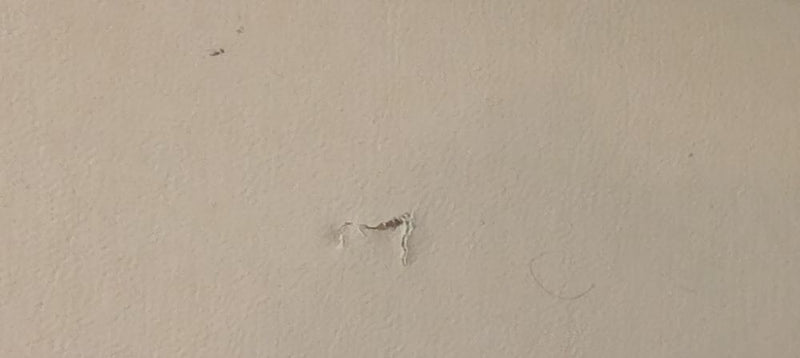 Sunvisors pair original Jeep SJ & J Series Bone