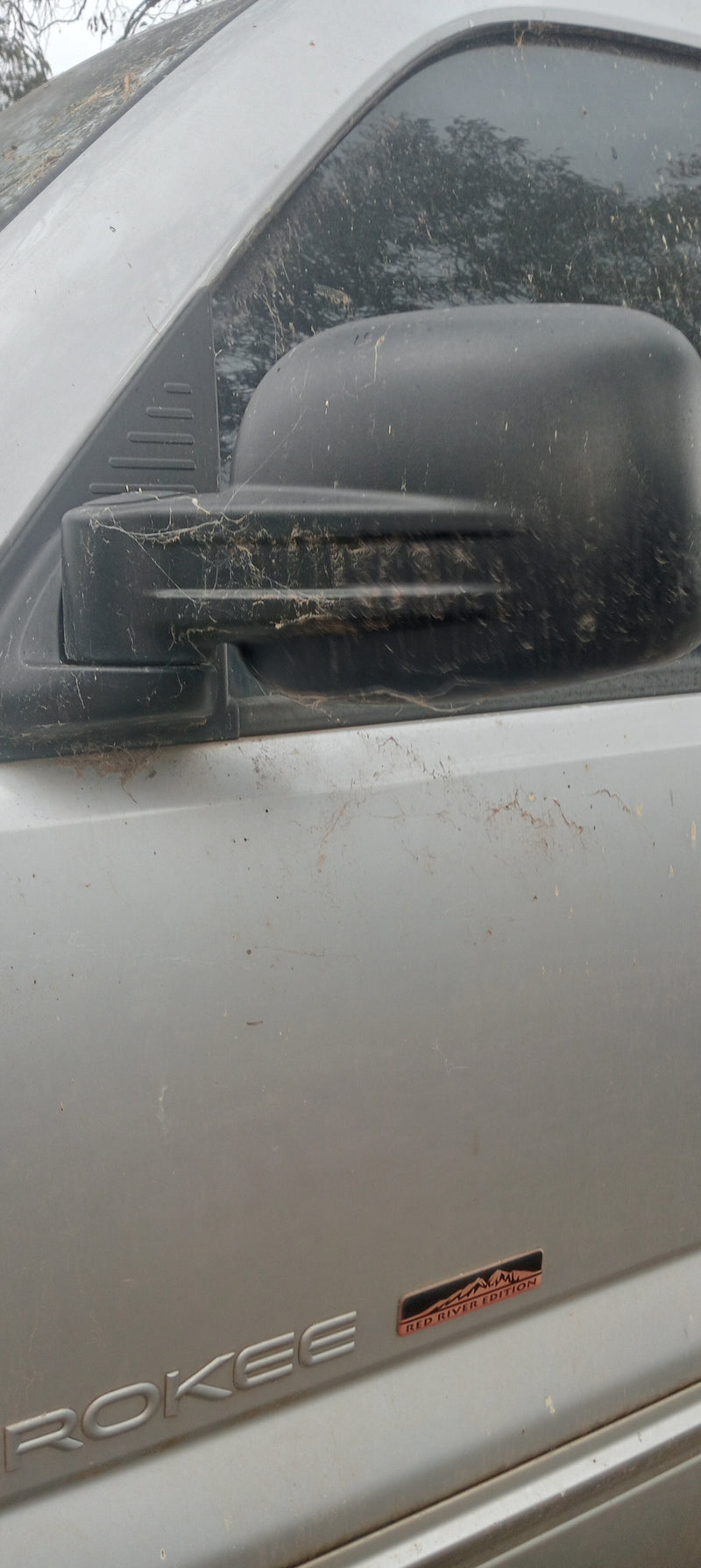 Door LH Front Jeep KJ Renegade Silver