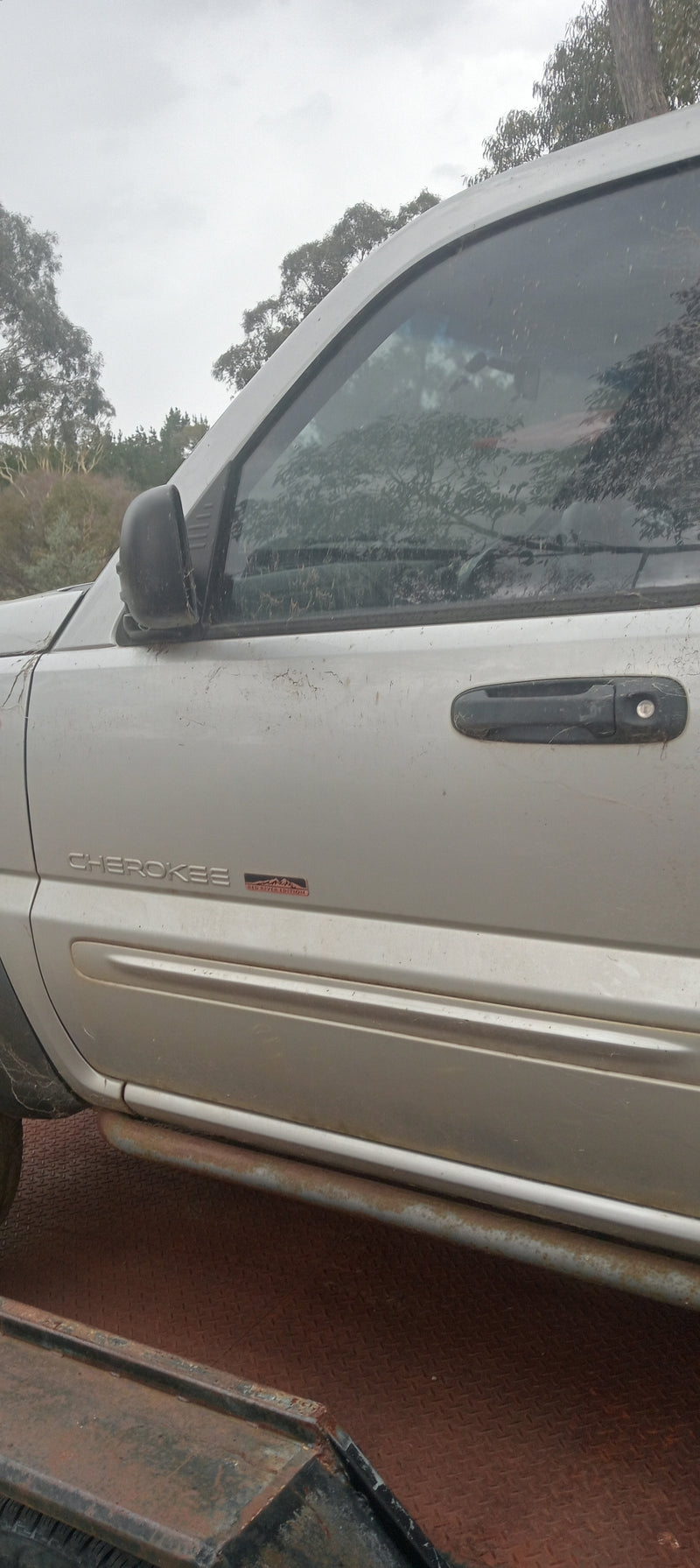Door LH Front Jeep KJ Renegade Silver