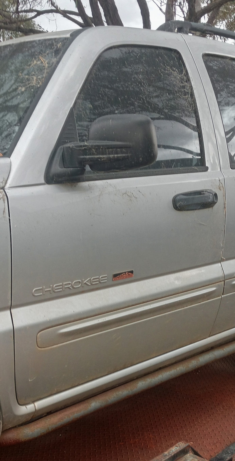 Door LH Front Jeep KJ Renegade Silver